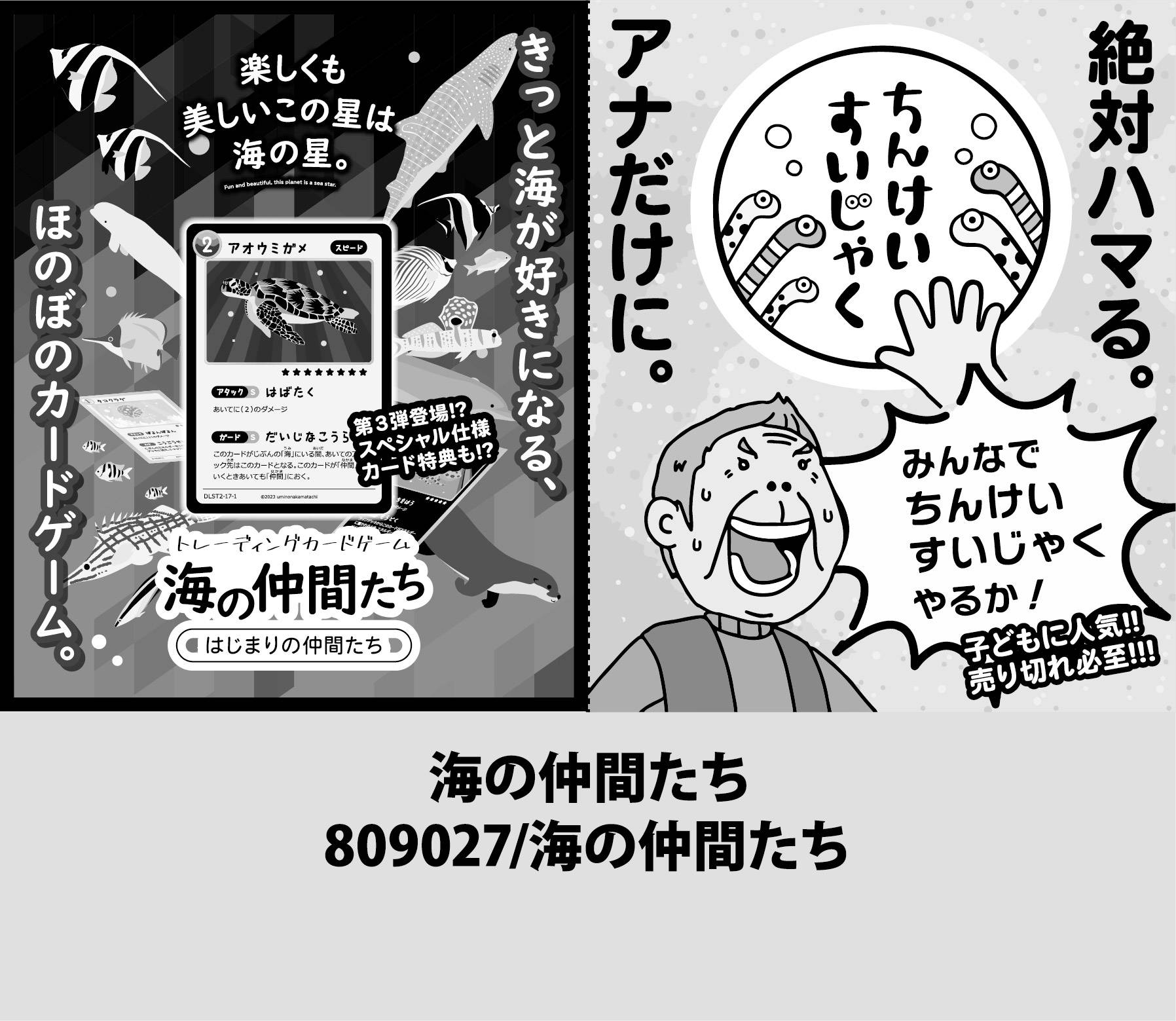 海の仲間たち画像